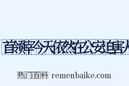 首领宰今天依然在公安迫害人是什么意思的图片